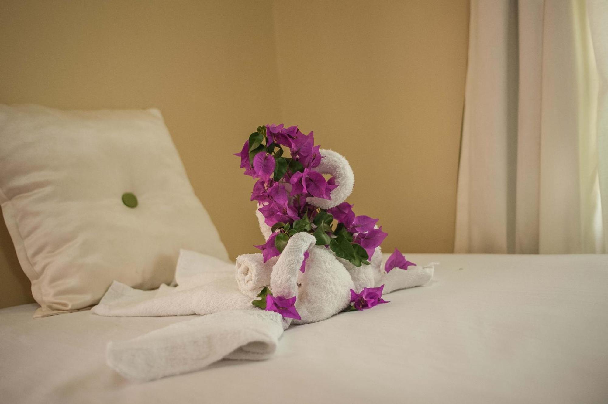 Clarridge View Guesthouse Montego Bay Extérieur photo